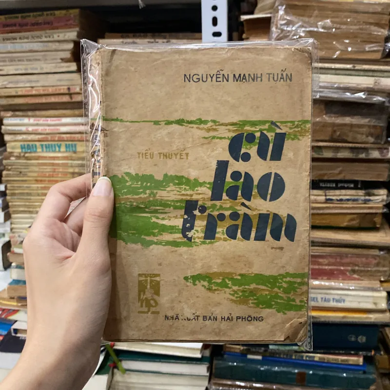 Cù Lao Tràm♟️ 998327