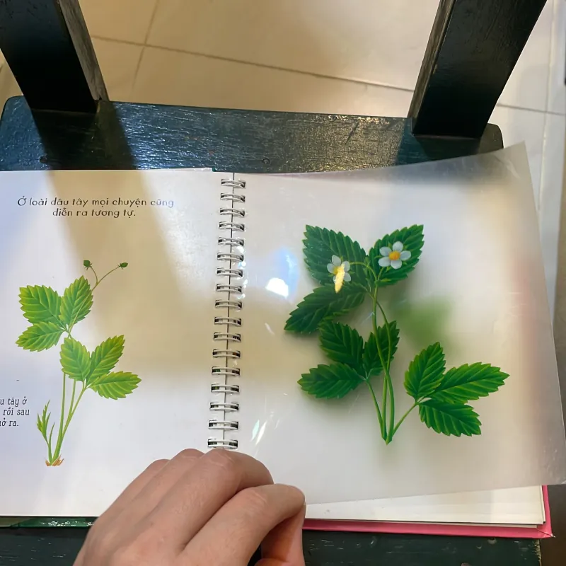 Những khám phá đầu tiên của tớ - Hoa - nhã nam 2018  1027415