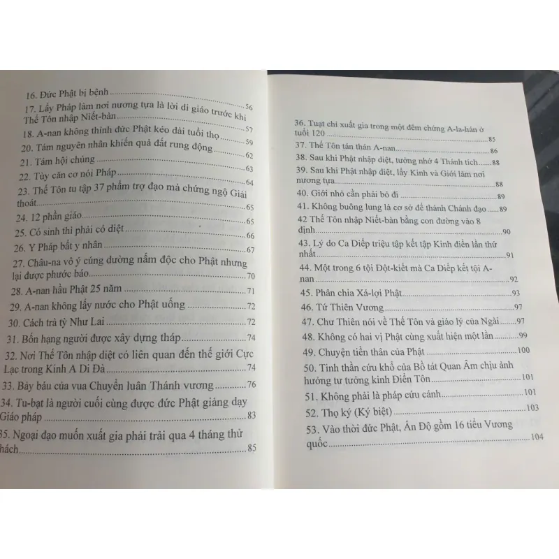 Sách nghiên cứu Phật học Những vấn đề cốt lõi trong Kinh Trường A-hàm - Thích Hạnh Bình mới 90% 675456