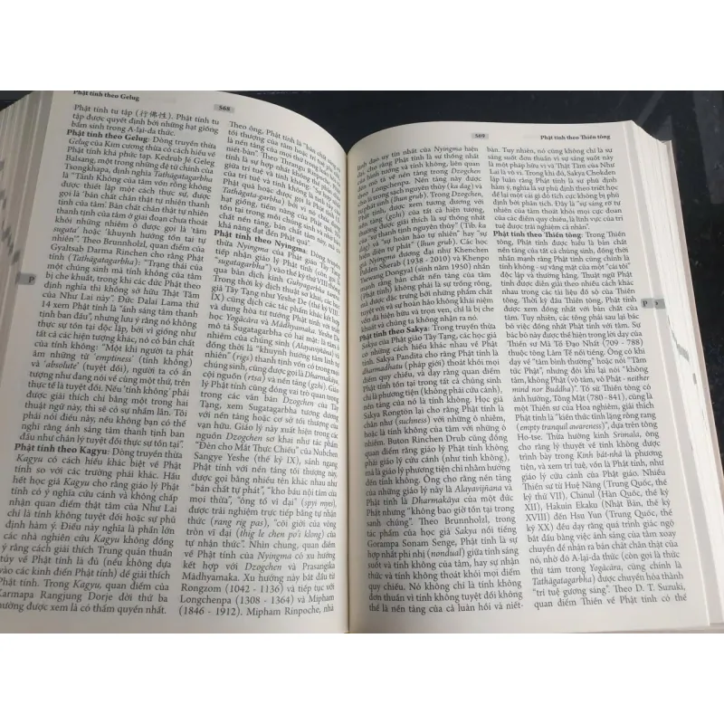 Từ Điển Kim Cương Thừa Và Tây Tạng Học 704372