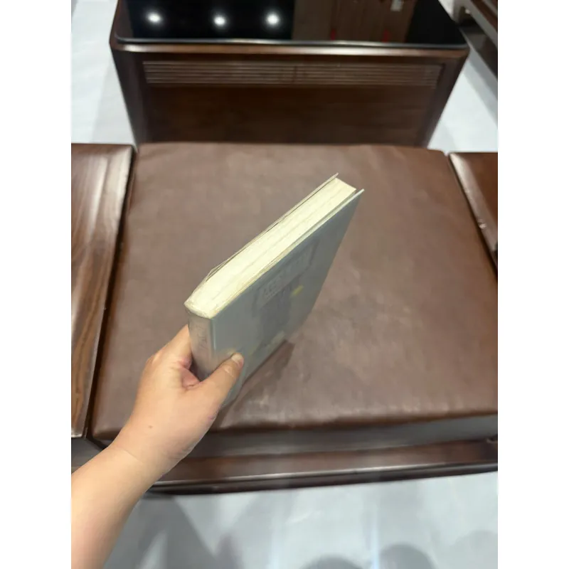 Em Sẽ Đến Cùng Cơn Mưa – Ichikawa Takuji | Tiểu Thuyết Nhật Bản Cảm Động- K3 1013569