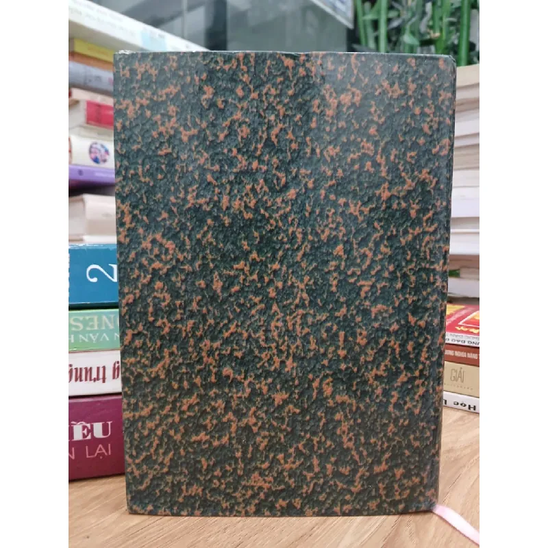 Bà mẹ Việt Nam anh hùng - Đà Nẵng – Thành phố anh hùng – (UBND Thành phố Đà Nẵng biên soạn) 589565