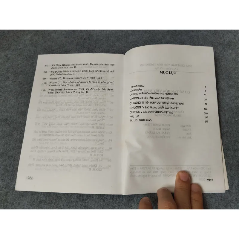 CƠ SỞ VĂN HOÁ VIỆT NAM - TRẦN DIỄM THÚY 719895