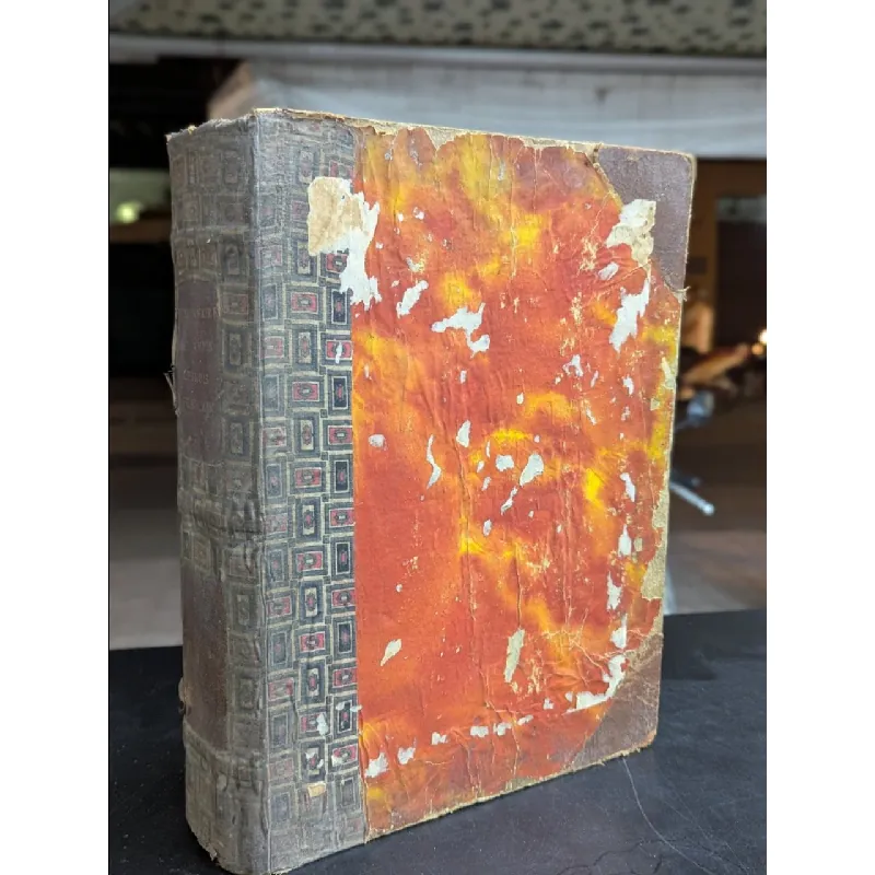 Dictionnaire vietnamien chinoiis francaise -Eugène 719146