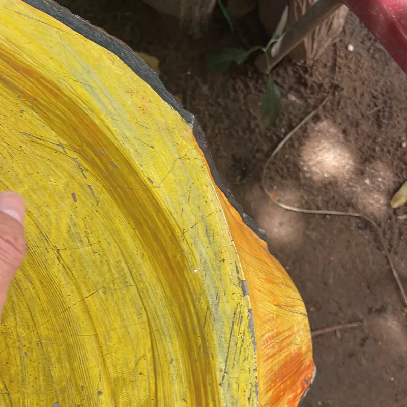 COMBO THUẬT HỒI XUÂN CHO NAM NỮ & KHÍ CÔNG VỚI ĐÔI BẠN TRẺ 702059