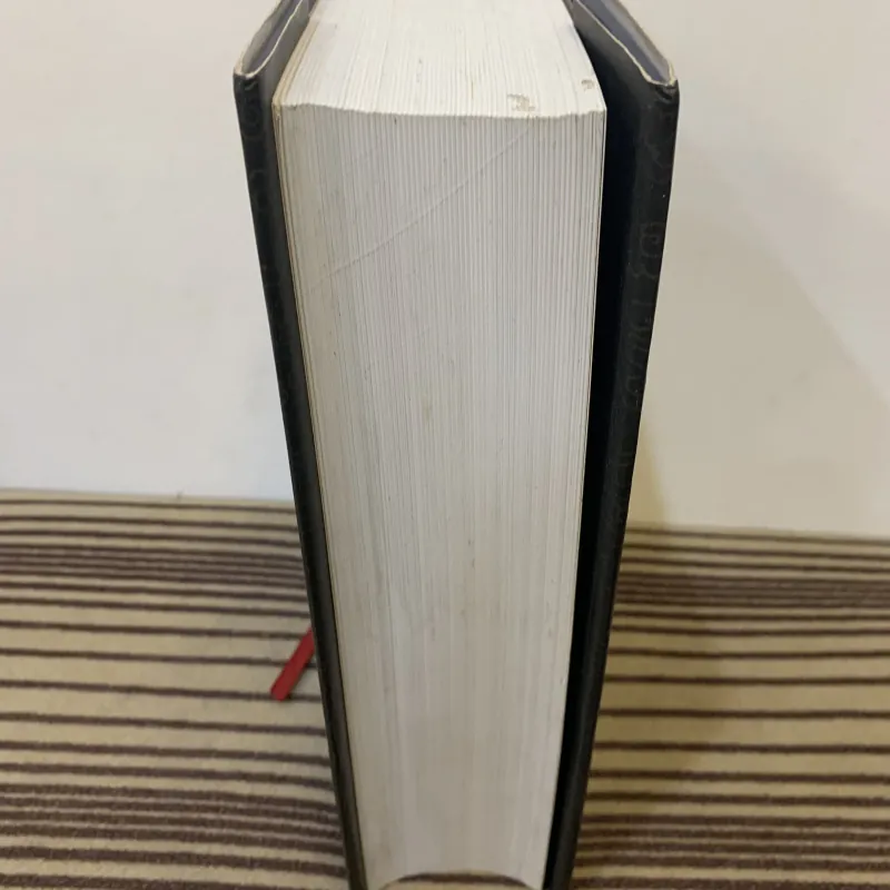 Vương triều Lý 960813