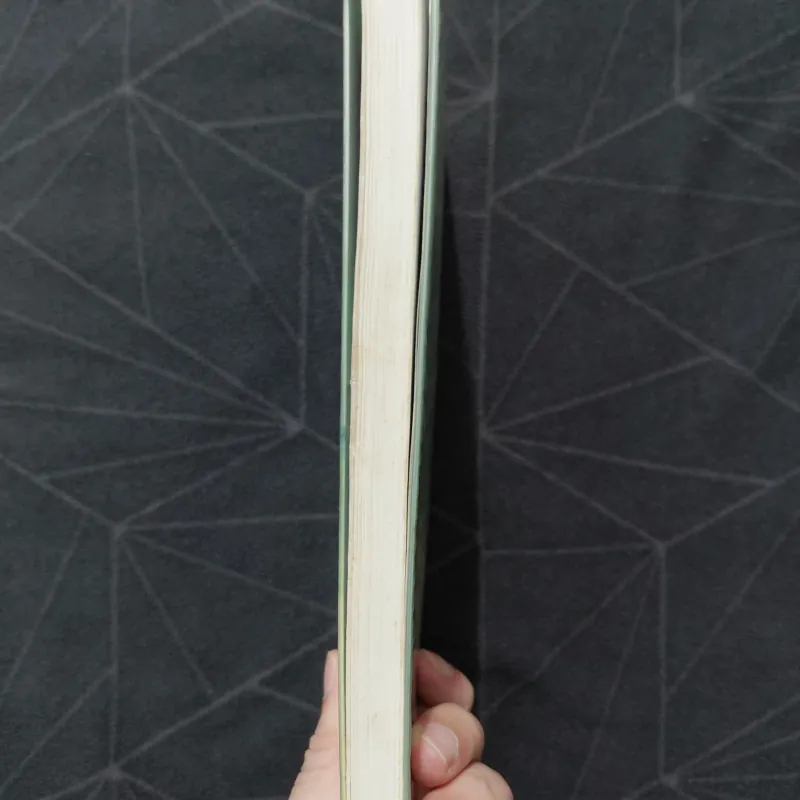 "Đoạn đường để nhớ" - Nicholas Sparks 1019924