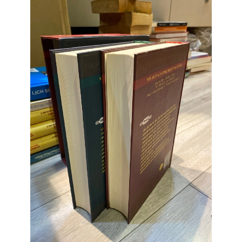 Vùng đất Nam Bộ: Quá trình hình thành và phát triển - Phan Huy Lê chủ biên 993042