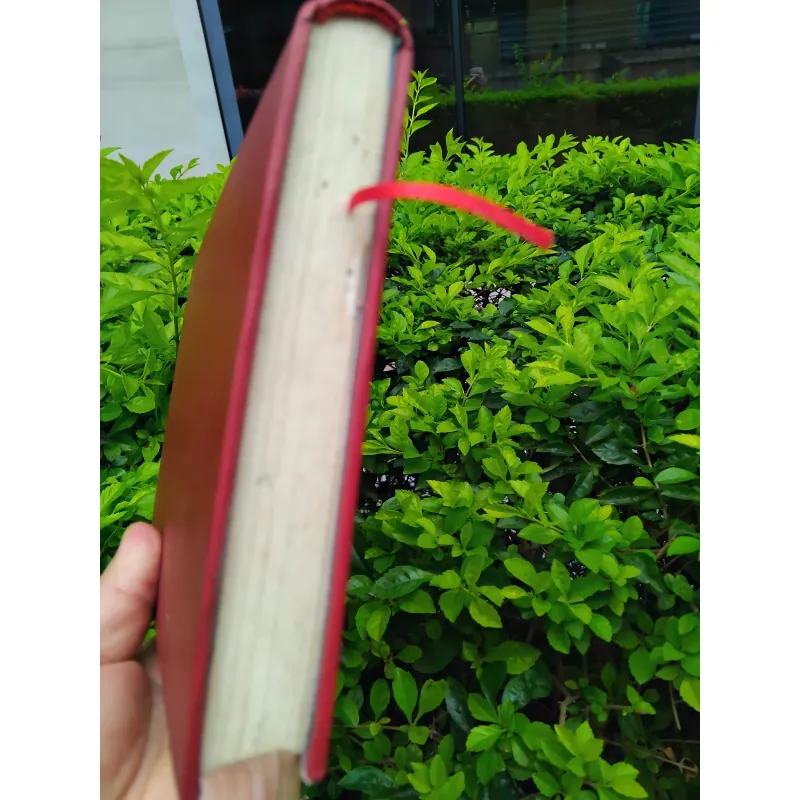 Thơ ca Việt Nam hình thức và thể loại  960859