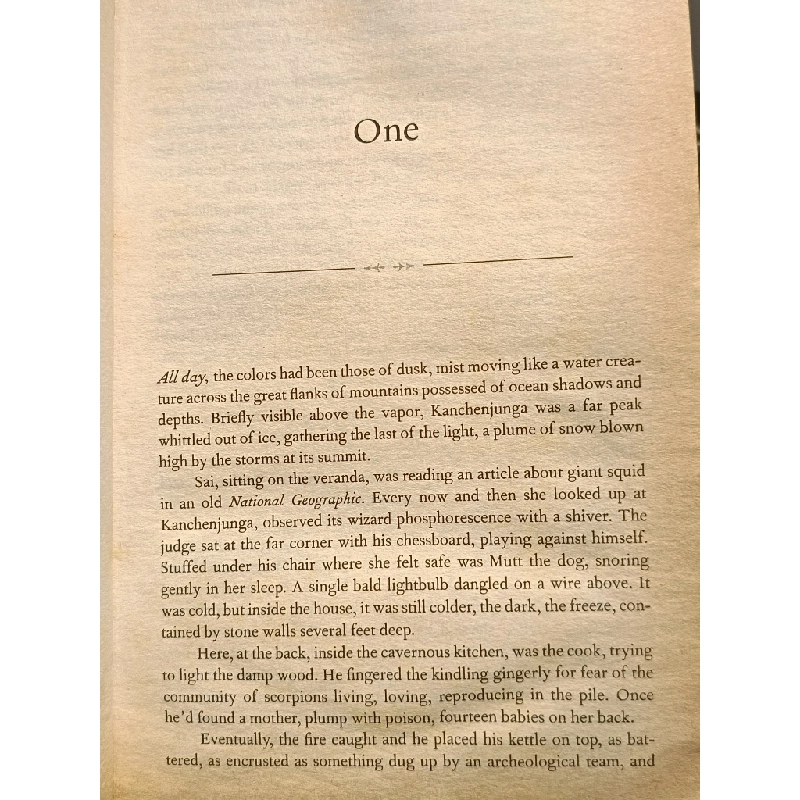 The Inheritance of Loss - Kiran Desai 460367