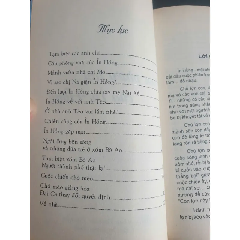 Cuộc Phiêu Lưu Của Ỉn Hồng 733758