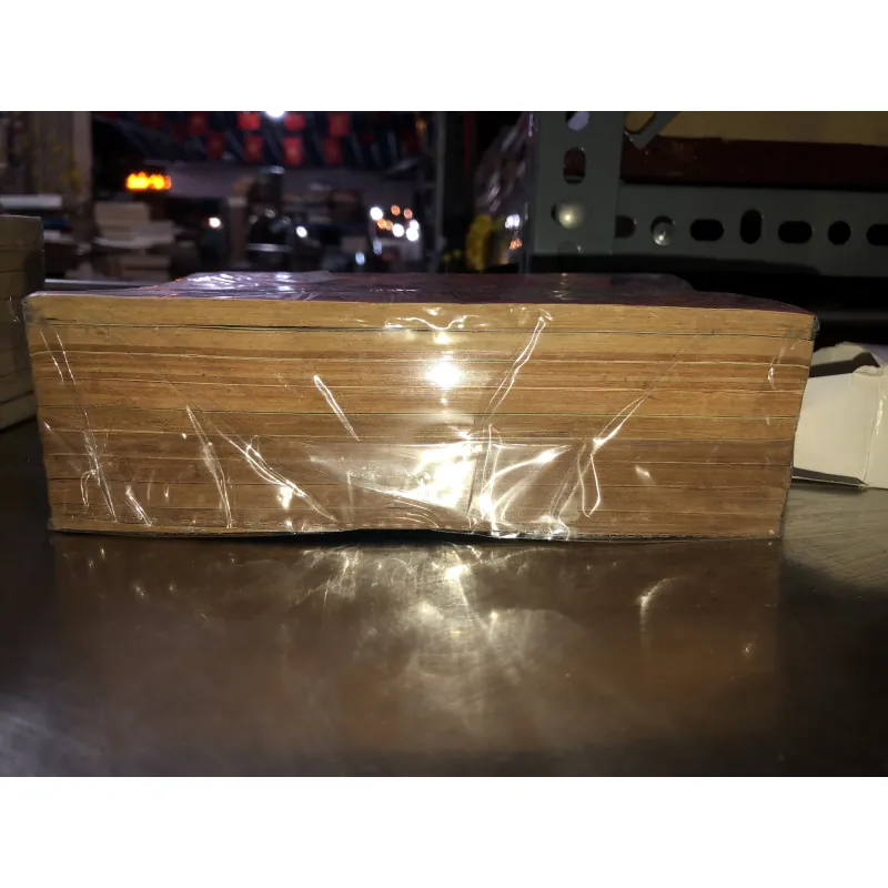 Cô bạn ngổ ngáo 935267