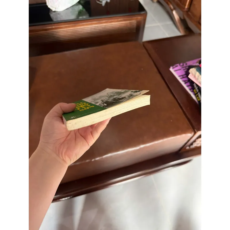 CÁC NGÔI SAO TÂY SƠN (NGUYỄN XUÂN NHÂN)- K5 1031195