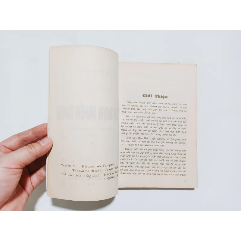 Cây Đàn Miến Điện - Takeyama Michio  795930