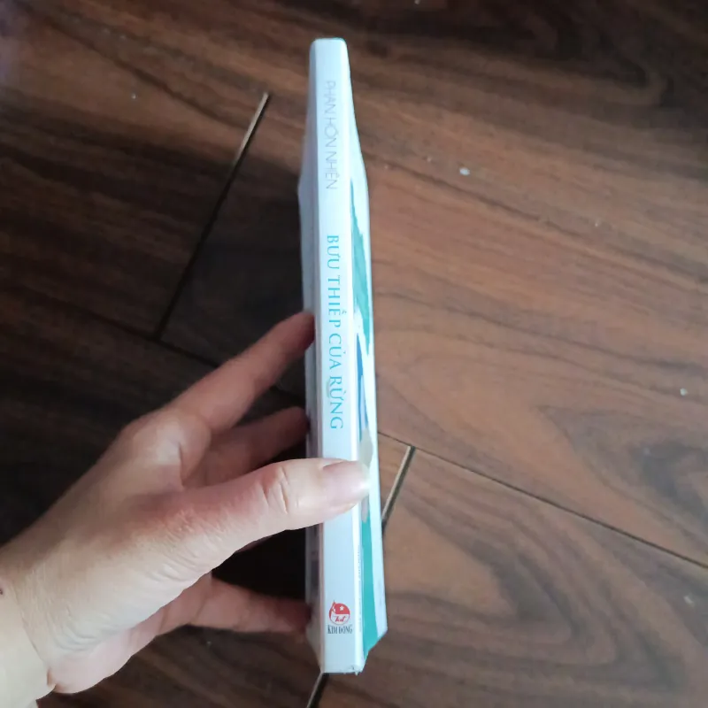 Bưu thiếp của rừng 761782