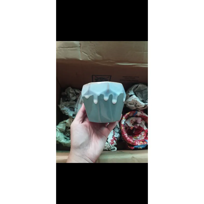 Chậu trồng sen đá 753589