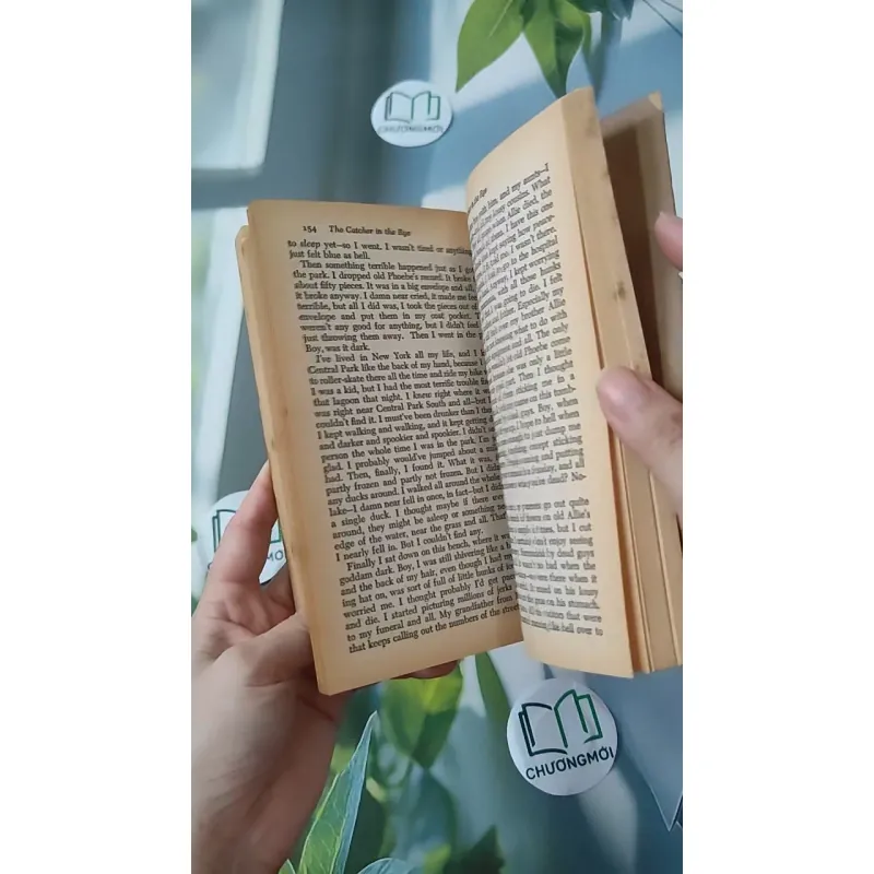 [MIỄN PHÍ BỌC SÁCH] [XƯA] The Catcher in the Rye (1951) - J. D. Salinger 1027211