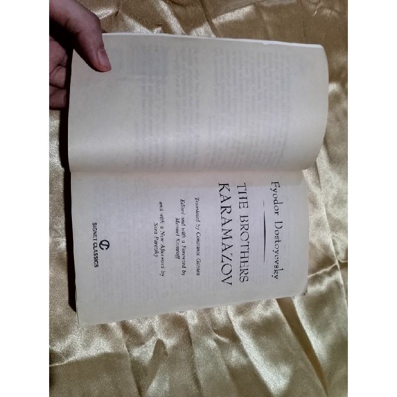 The brothers Karamazov 4696