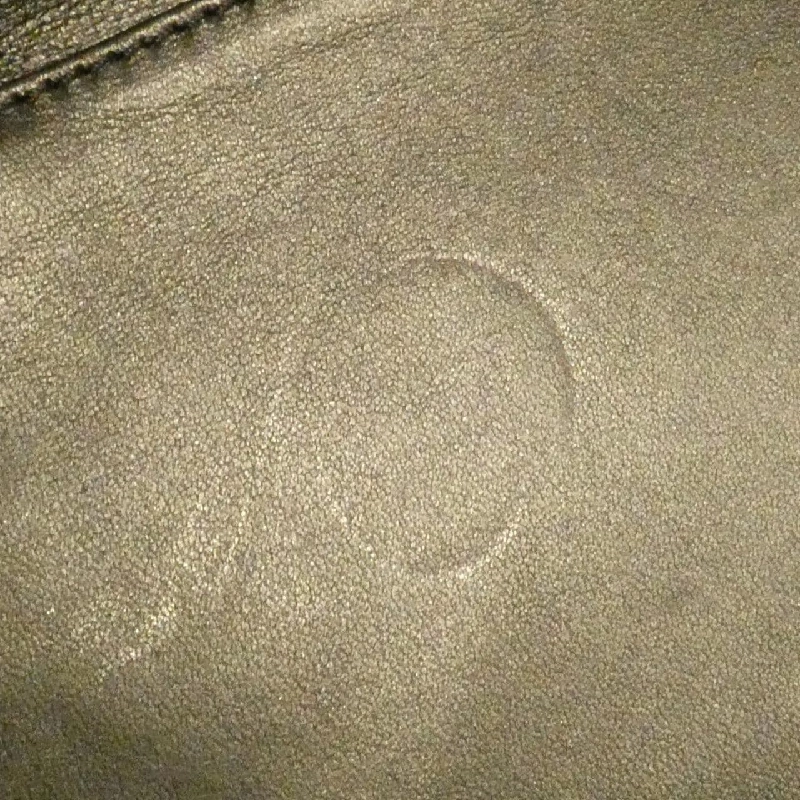 Túi Loewe Amazona 616688