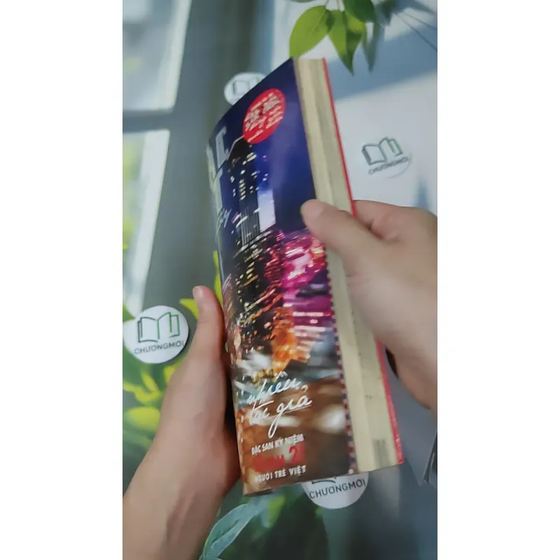 Tìm Thấy & Lại Mất 1018877