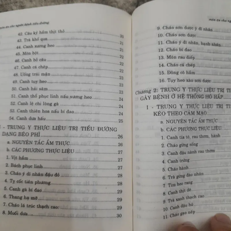 Thức ăn chữa bệnh- cho người Tiểu Đường theo Trung Y. Nhóm tác giả Trần Diễm... 755692