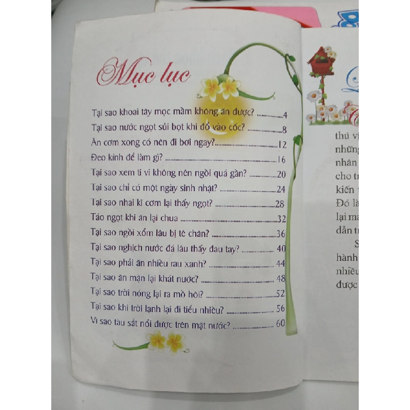 Tại Sao Chỉ Có Một Ngày Sinh Nhật? 549642