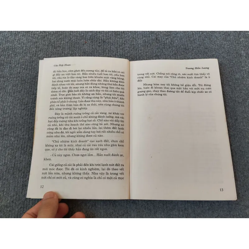 CÂY HỢP HOAN 694788