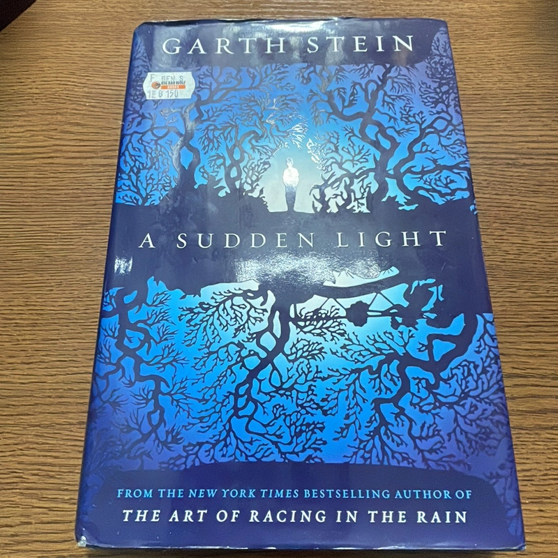 A sudden light Garth Stein 357625