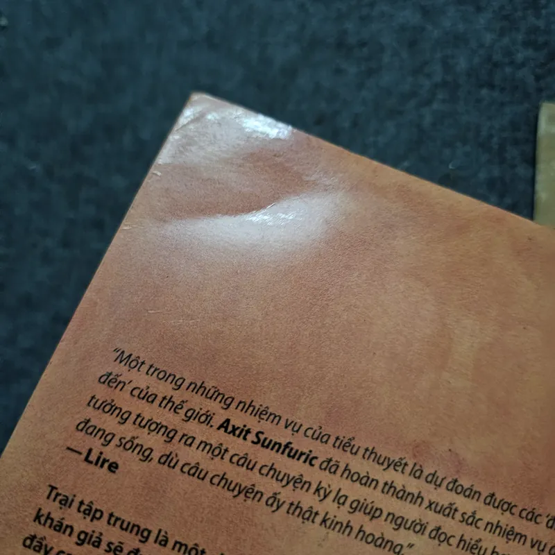 Axit Sunfuric 733935