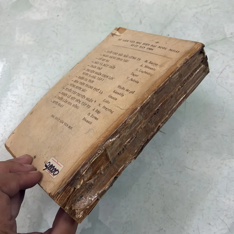 Năm mặt trời bùng nổ 1031027