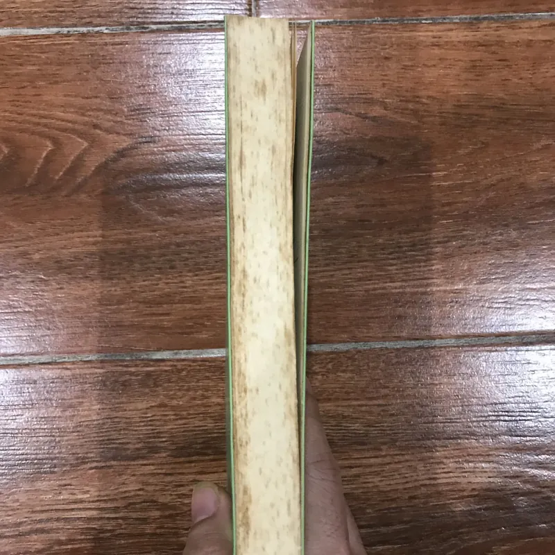 Nghĩ Và Viết Ở Phương Nam – Tiểu Luận Phê Bình – Tác giả: Lê Quang Trang (7) 761086