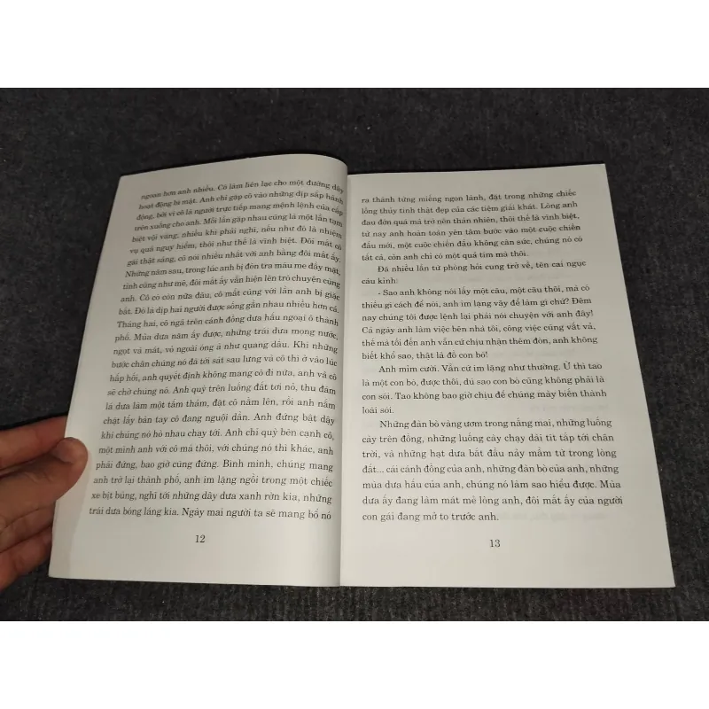 LÃO MAI. TẬP TRUYỆN NGẮN - ĐỖ CHU 992563