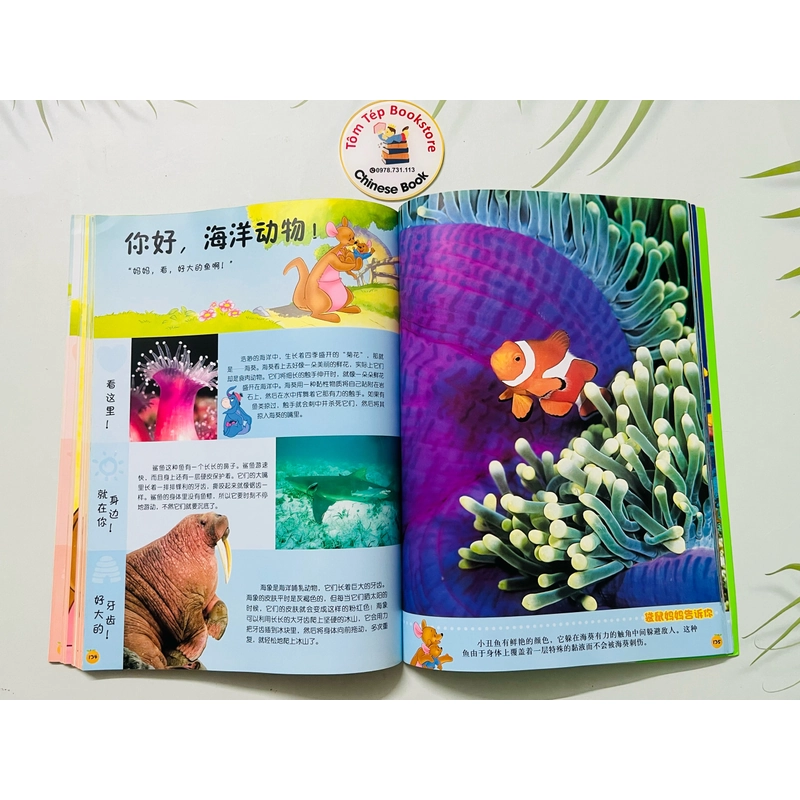 Winnie the Pooh Bách khoa thư đầu tiên cho bé- Tiếng Trung 478979