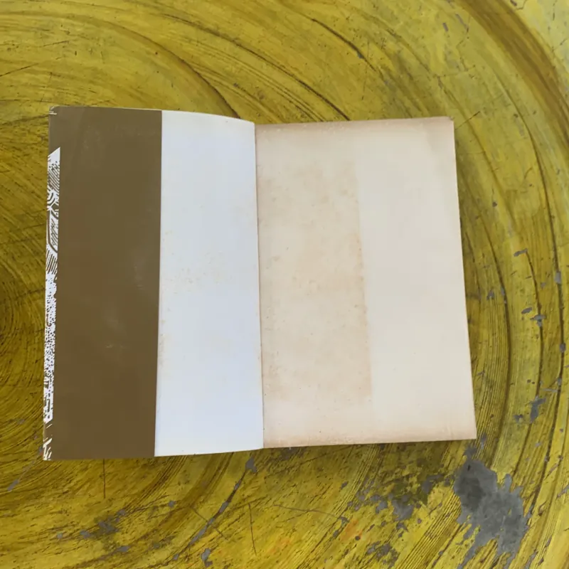 HỒNG LÂU MỘNG bản Tiếng Trung 1030276