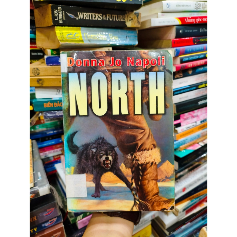 North 🌱🌱 532511