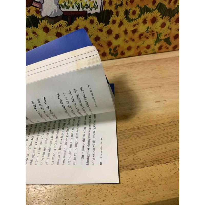 Một Nụ Cười Nào Đó - Francoise Sagan 538446