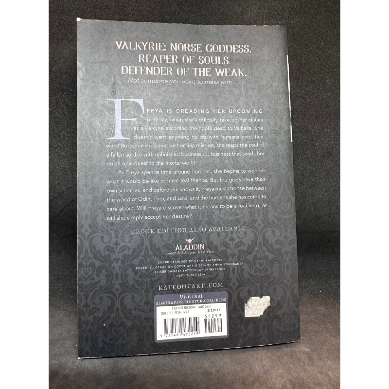 Valkyrie - Kate O'Hearn (Author of the Pegasus series), mới 70% (ố vàng), 2013 SBM.VH0812 912571