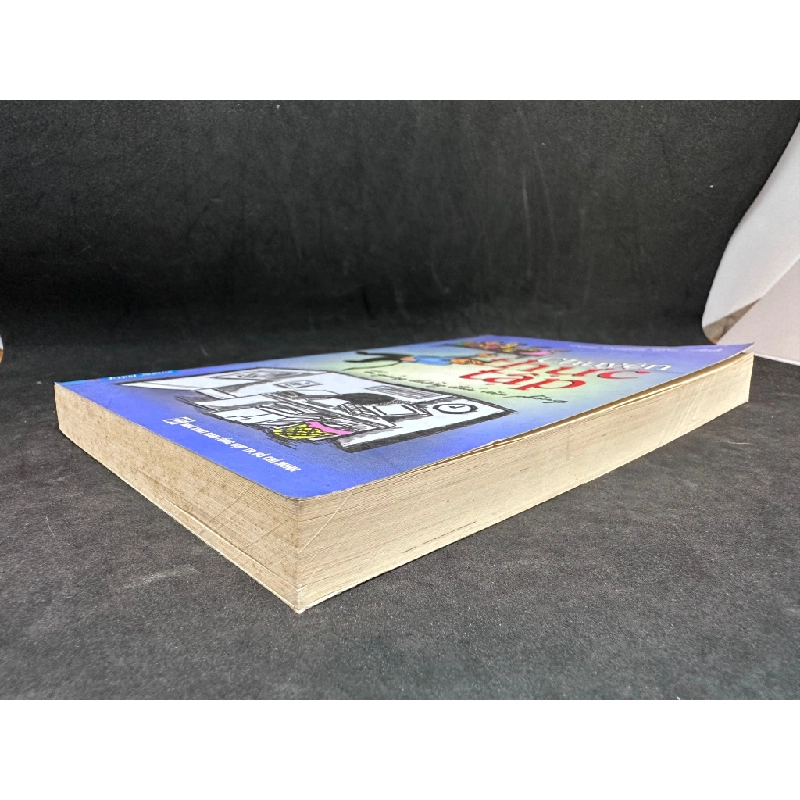 Chuyện thực tập - Từ giảng đường đến văn phòng, Đặng Huỳnh Mai Anh, mới 80% (ố vàng), 2013 SBM3001 347692