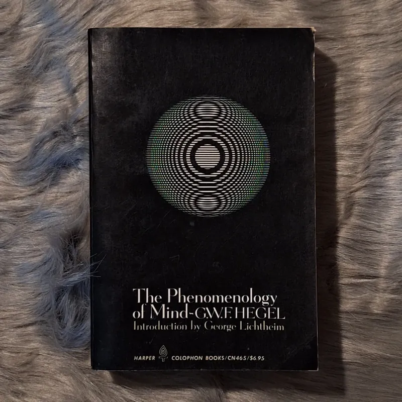 Georg Wilhelm Friedrich Hegel  - The Phenomenology of Mind 780048