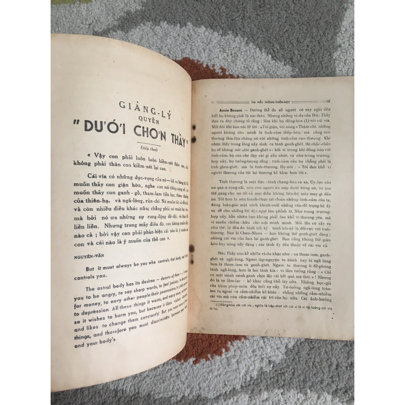 Tìm Hiểu Thông Thiên Học (số 19, tháng 8, 1955) 271889