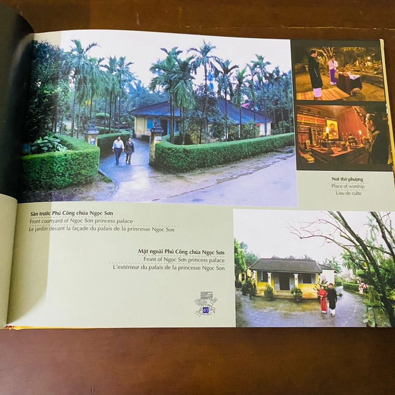 Huế thành phố festival  474019