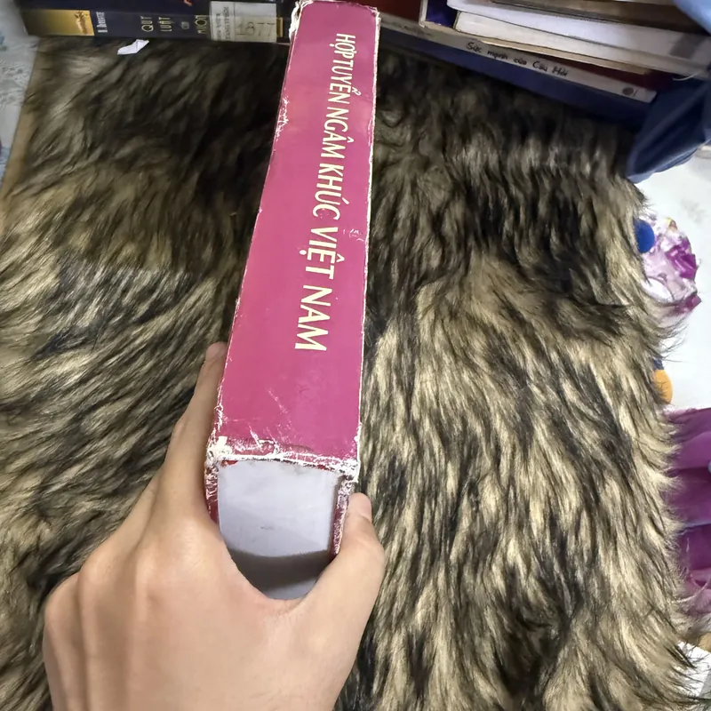 Hợp tuyển ngâm khúc Việt Nam  599667