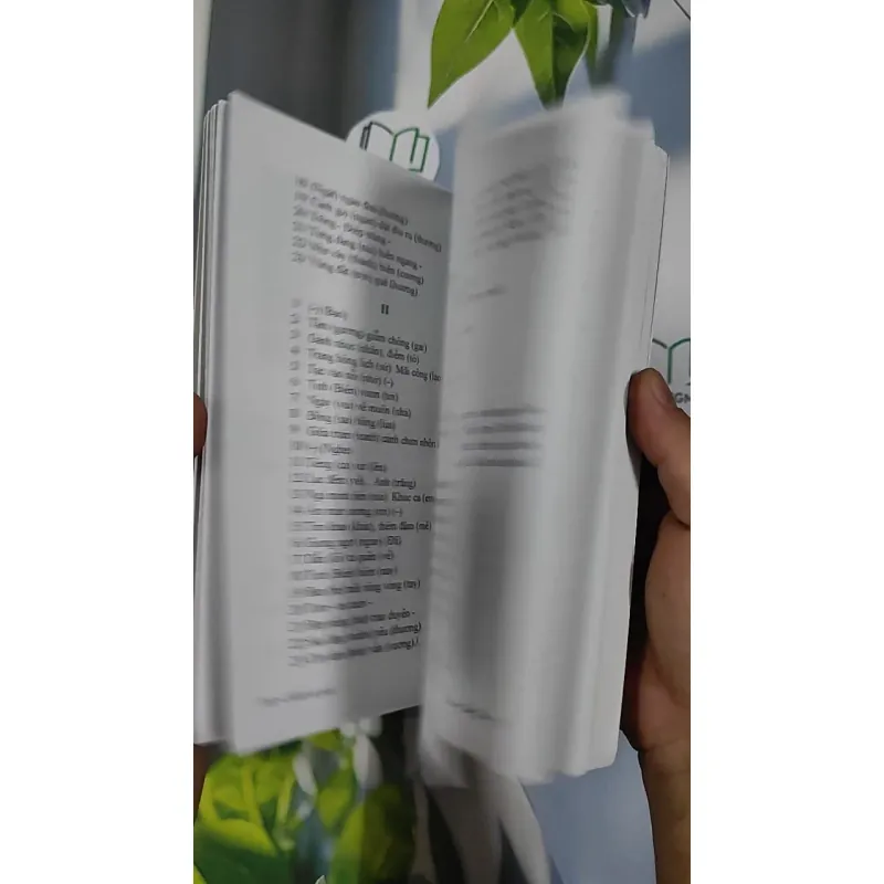 Nắng Mới Tịnh Biên - Tập Ca Cổ 798450