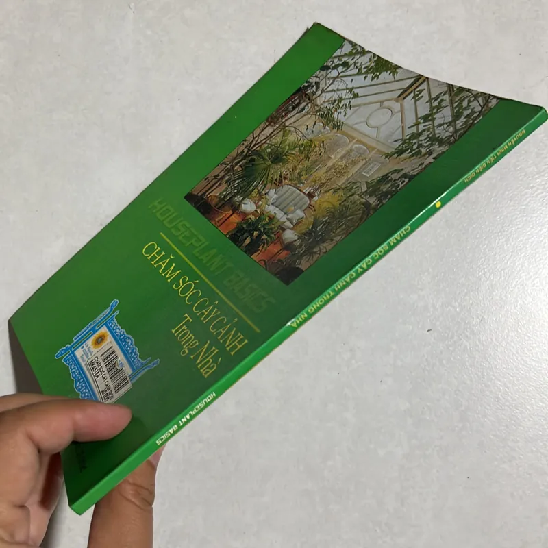Chăm sóc cây cảnh trong nhà 589668