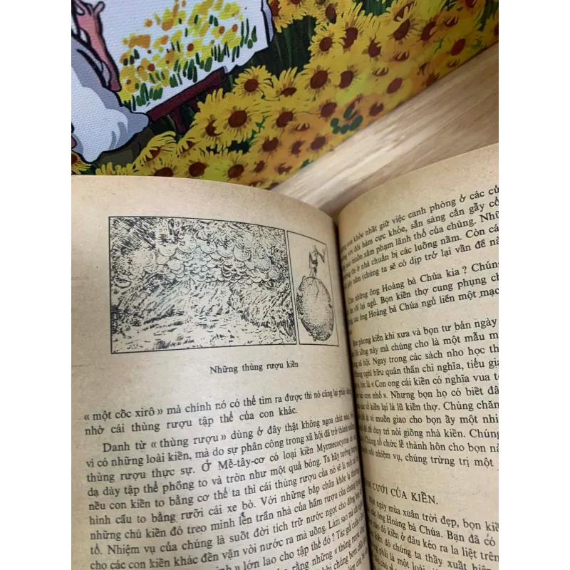 Những Kỳ Lạ Trong Thế Giới Sinh Vật 926223