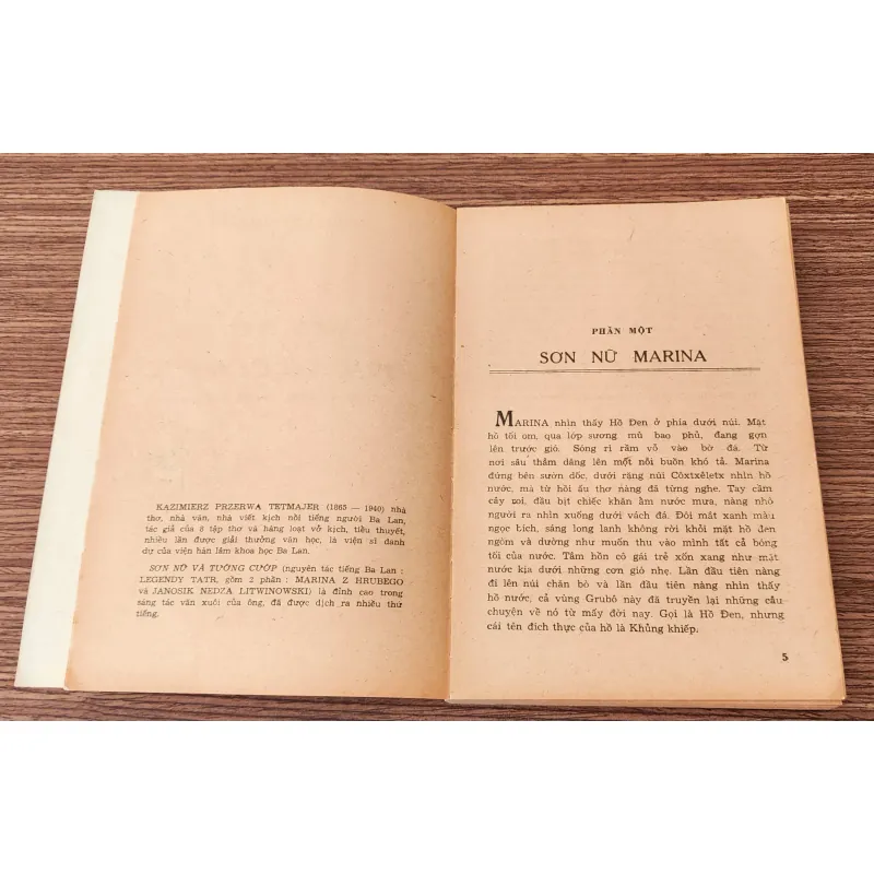 Tiểu thuyết SƠN NỮ & TƯỚNG CƯỚP 776169