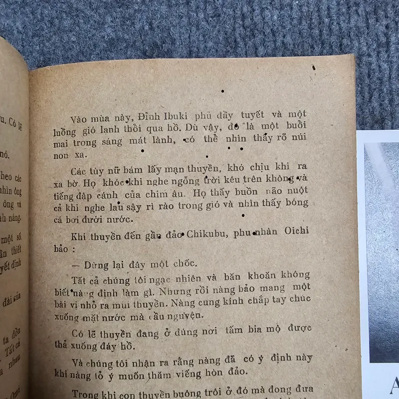 Tình trong bóng tối - Tanizaki Junichiro 990941