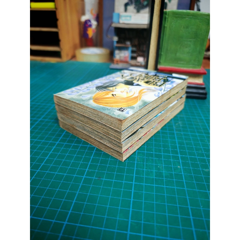 Truyện tranh Black Bird 734011