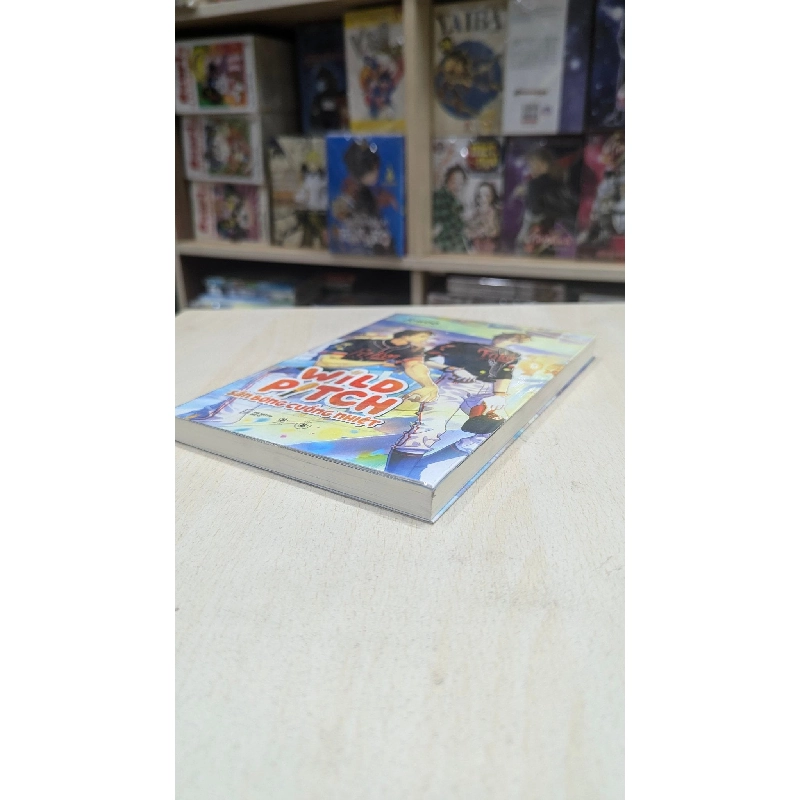 Wild Pitch sân bóng cuồng nhiệt 1001408