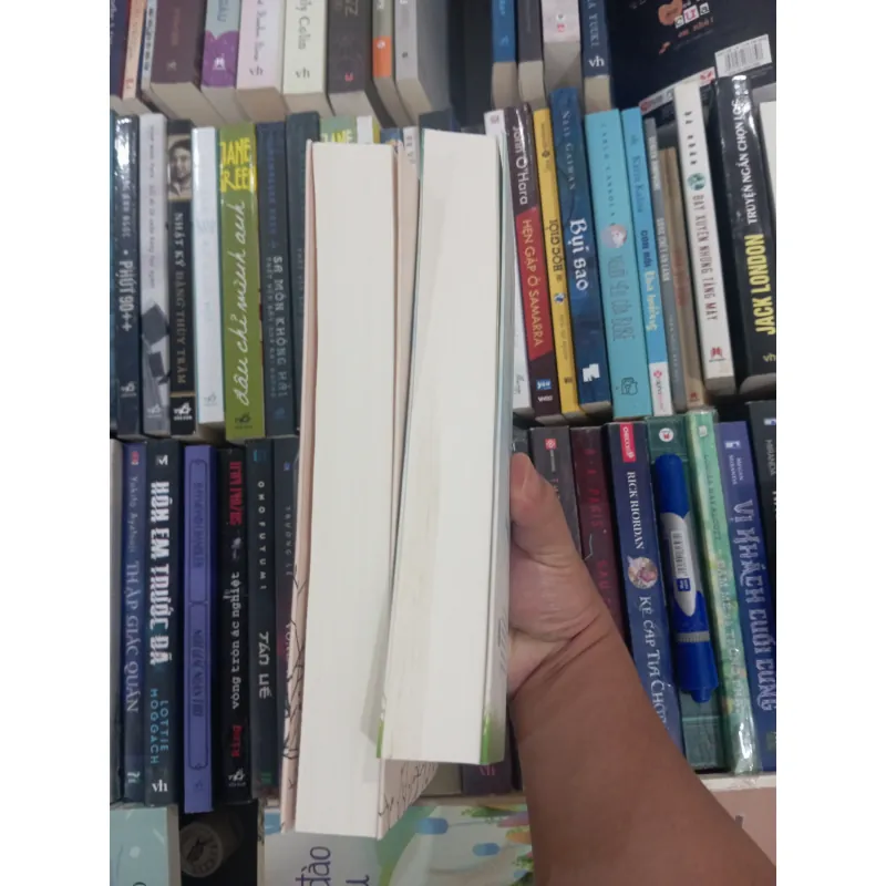 Chiến binh của công chúa 991115